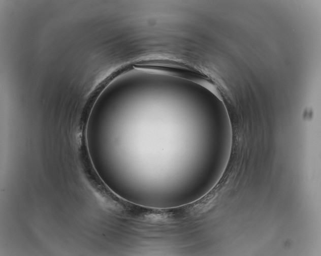 X0000090970160200708161843