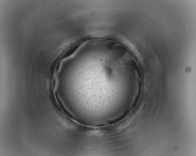 X0000090970161200708161843