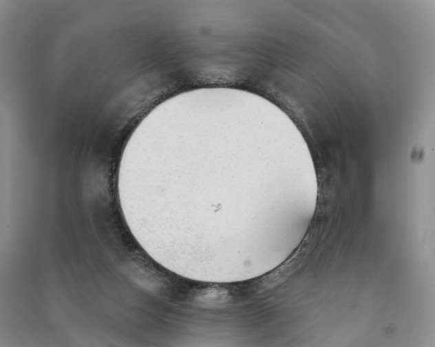 X0000090970162200708161843