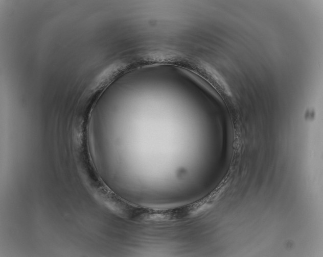 X0000090970163200708161843