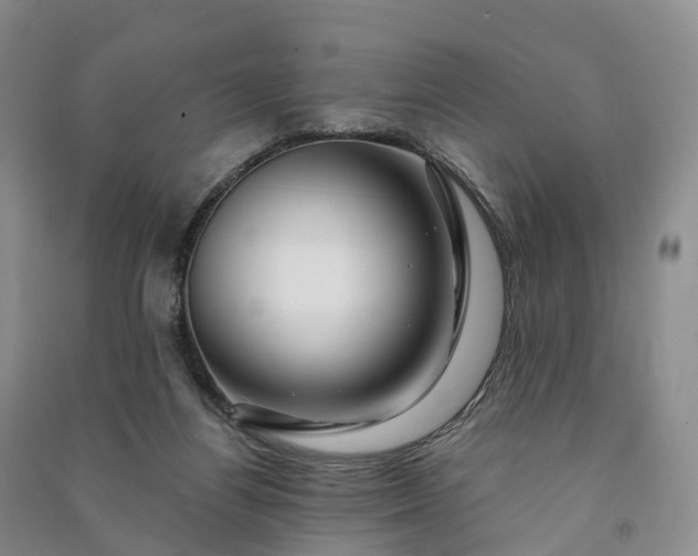 X0000090970164200708161843