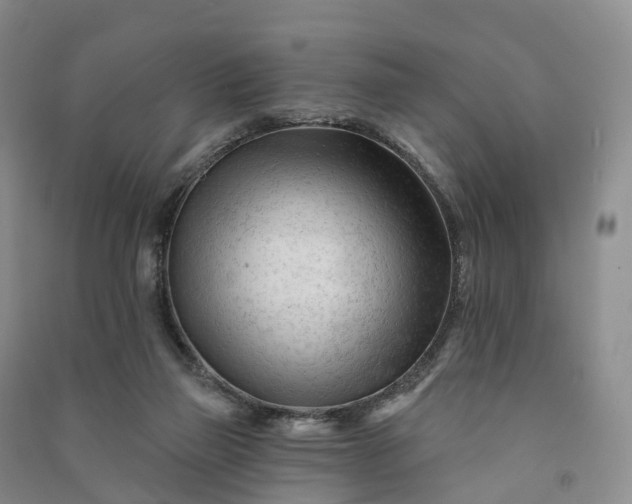 X0000090970165200708161843