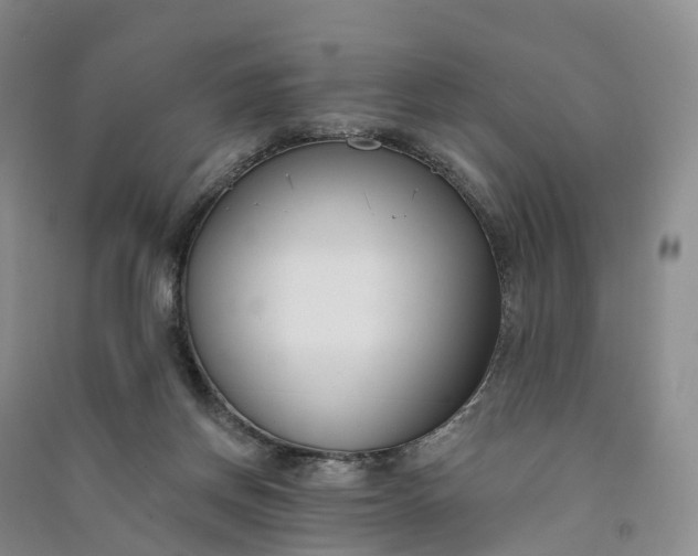 X0000090970166200708161843