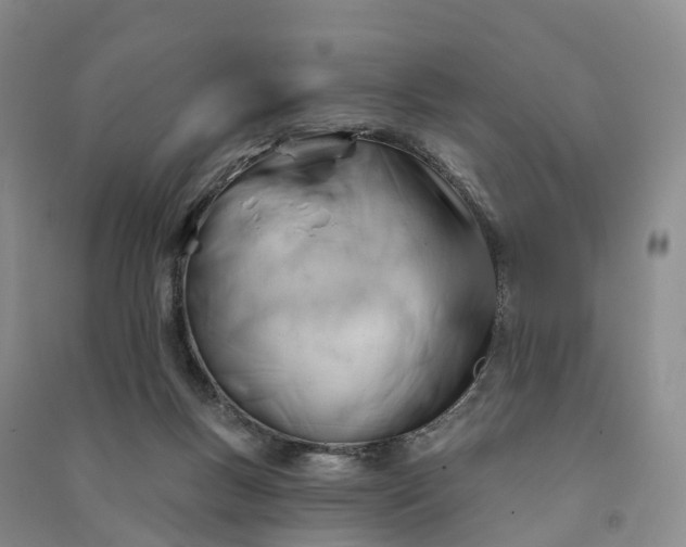 X0000090970167200708161843