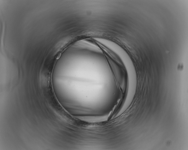 X0000090970168200708161843