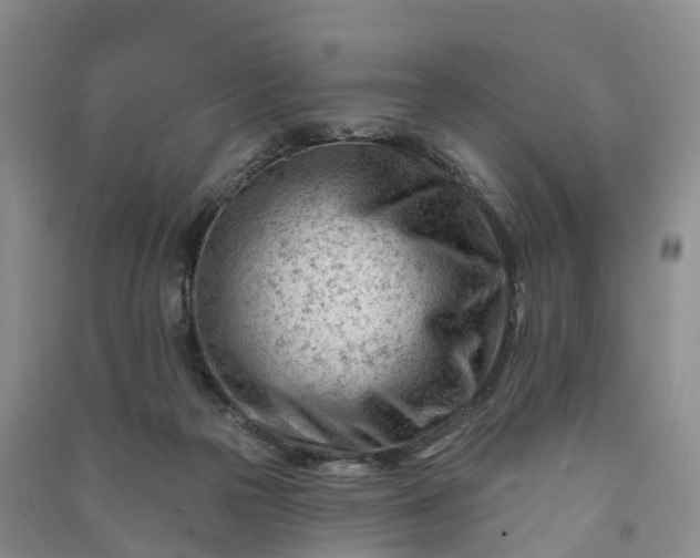 X0000090970169200708161843