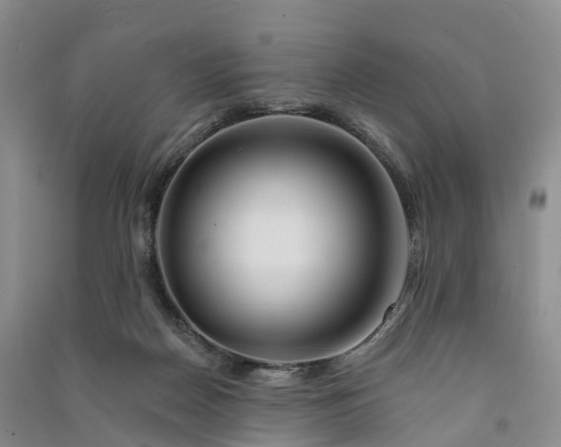 X0000090970170200708161843