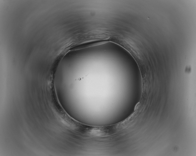 X0000090970171200708161843