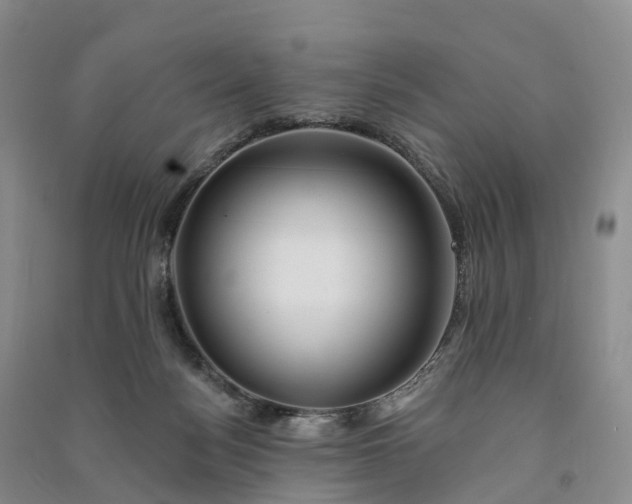 X0000090970172200708161843