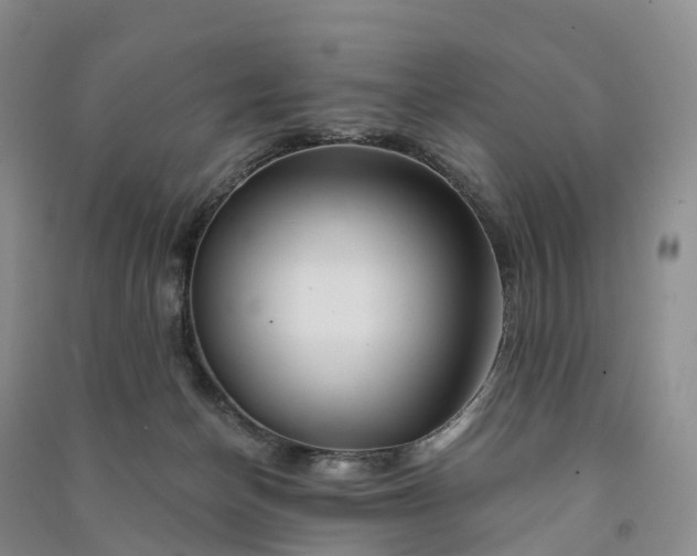 X0000090970174200708161843