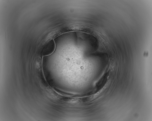 X0000090970175200708161843