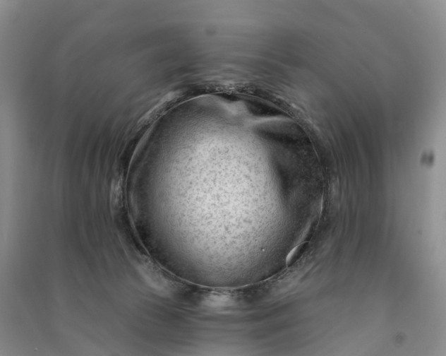 X0000090970177200708161843