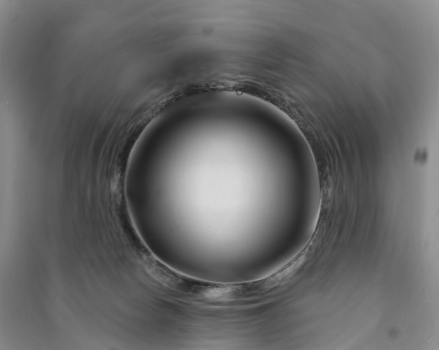 X0000090970178200708161843