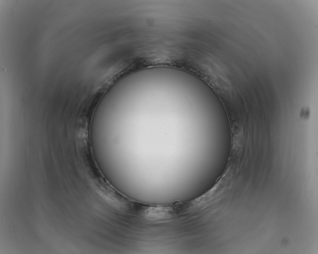 X0000090970179200708161843