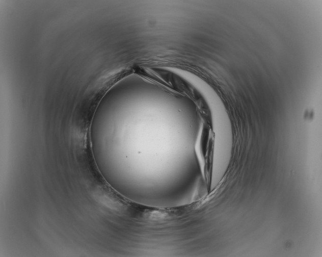 X0000090970180200708161843