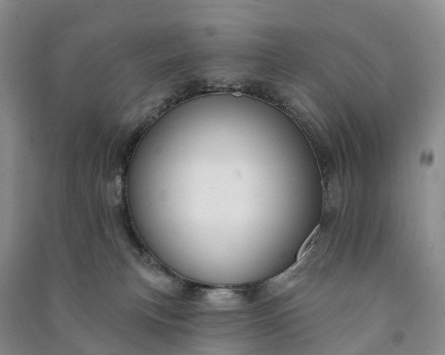 X0000090970183200708161843