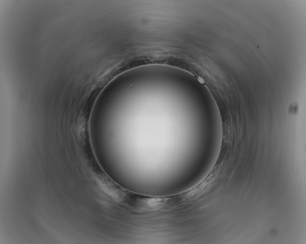 X0000090970184200708161843