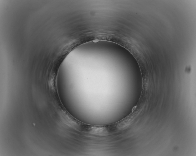 X0000090970185200708161843