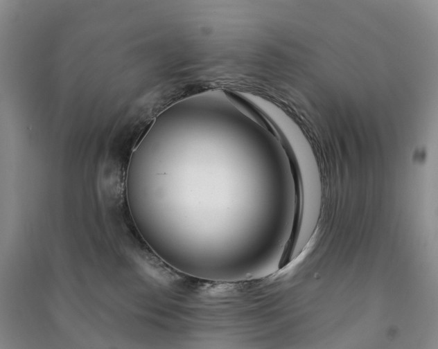 X0000090970186200708161843