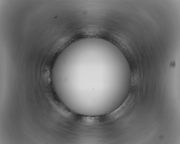 X0000090970187200708161843