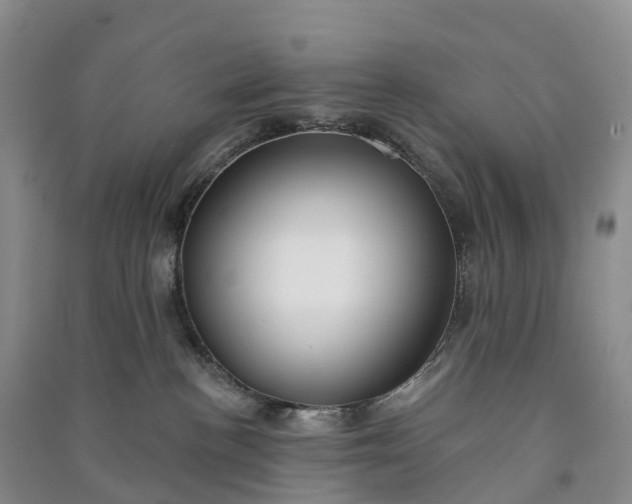 X0000090970188200708161843