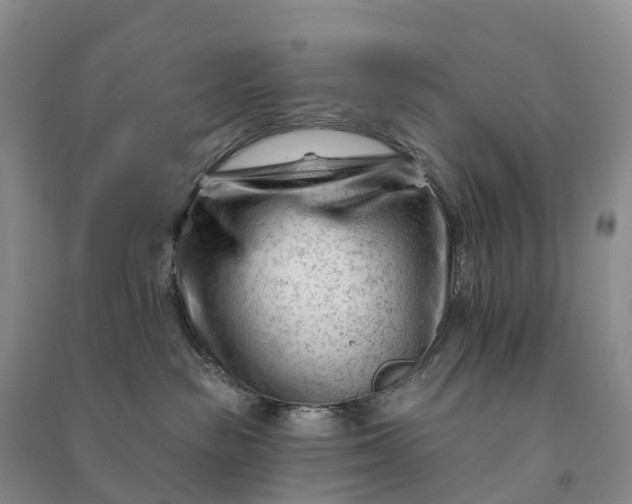 X0000090970189200708161843