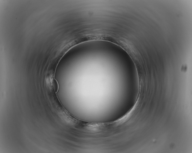 X0000090970190200708161843