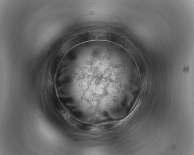 X0000090970191200708161843