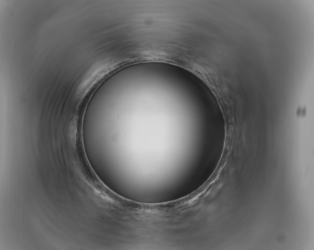 X0000090970194200708161842