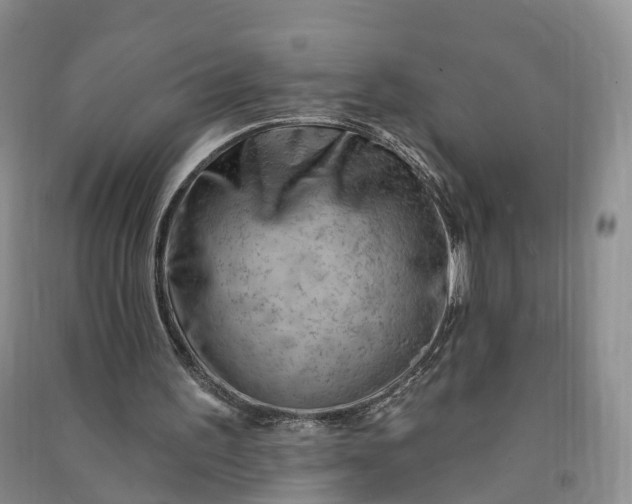 X0000090970195200708161842