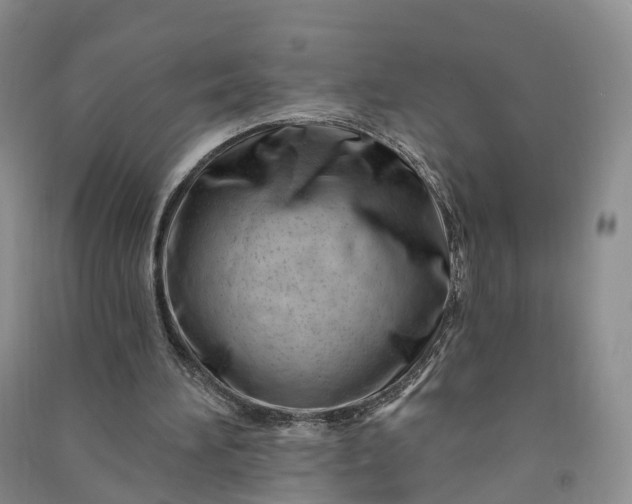 X0000090970196200708161842