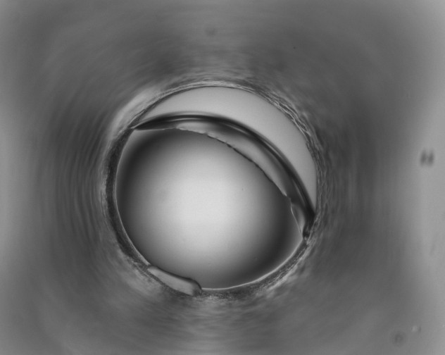 X0000090970197200708161842