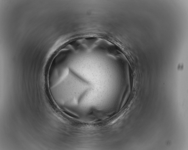 X0000090970198200708161842