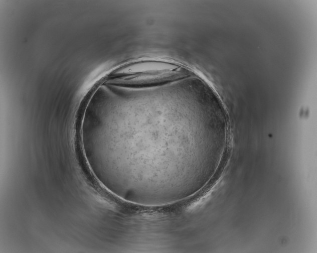 X0000090970199200708161842