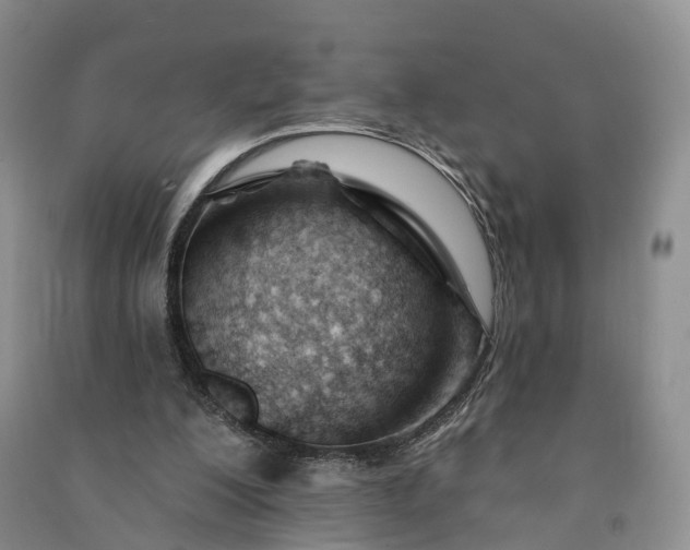 X0000090970200200708161842