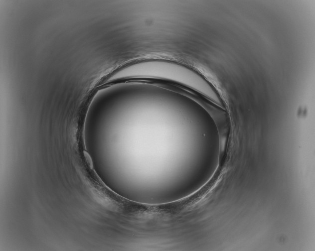 X0000090970201200708161842