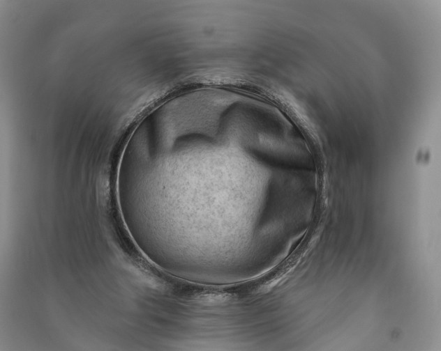 X0000090970202200708161842