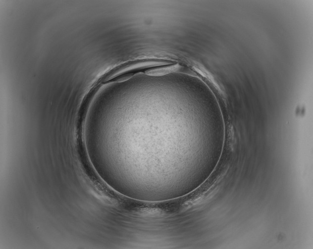 X0000090970203200708161842