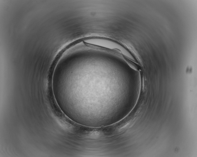 X0000090970204200708161842