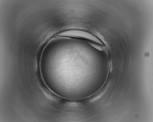 X0000090970205200708161842