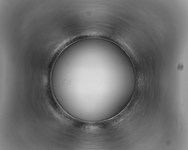 X0000090970208200708161842