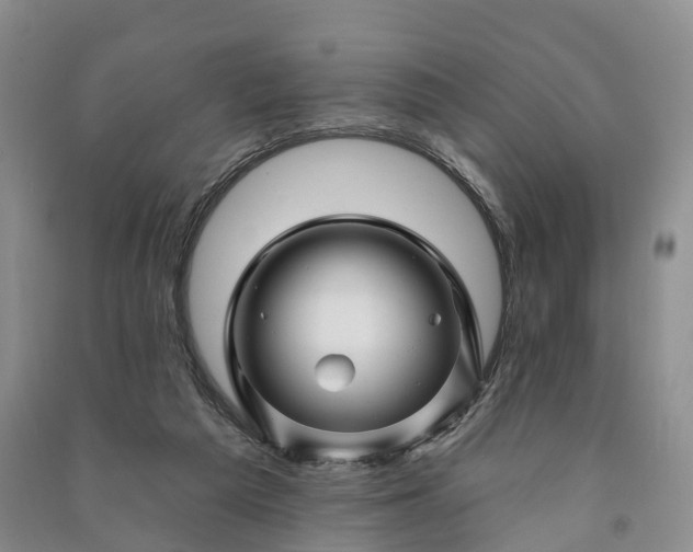 X0000090970209200708161842