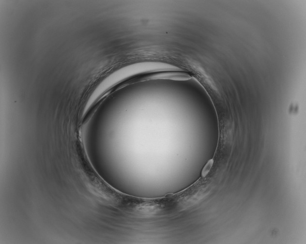 X0000090970213200708161842