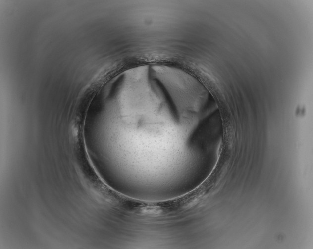 X0000090970214200708161842