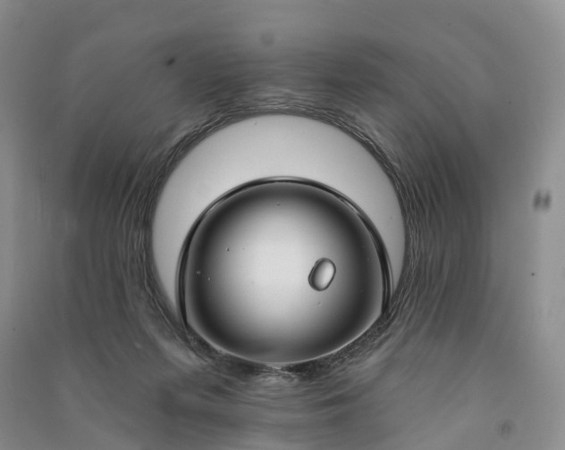 X0000090970215200708161842