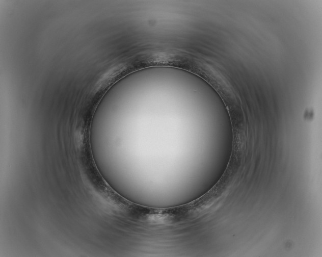 X0000090970216200708161842