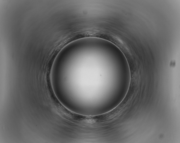 X0000090970217200708161842