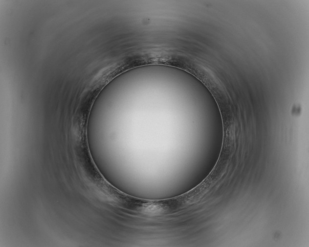 X0000090970218200708161842