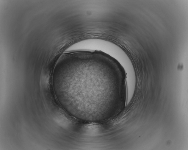 X0000090970219200708161842