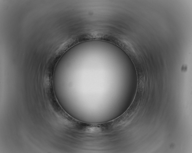 X0000090970220200708161842